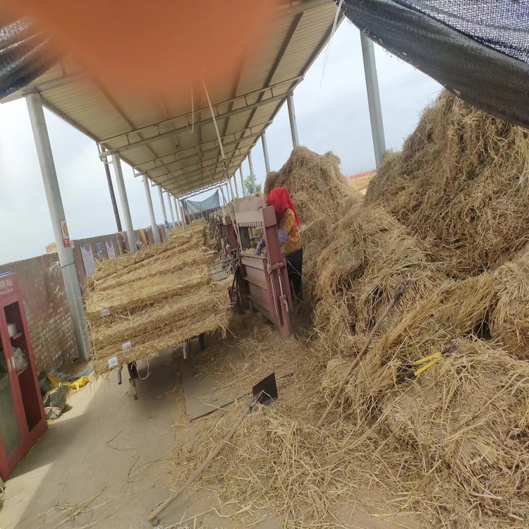 寧夏草莓视频污污下载 寧夏草莓视频污污下载