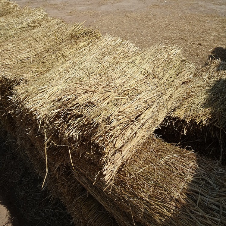 寧夏草莓视频污污下载廠家批發 寧夏草莓视频污污下载廠家批發