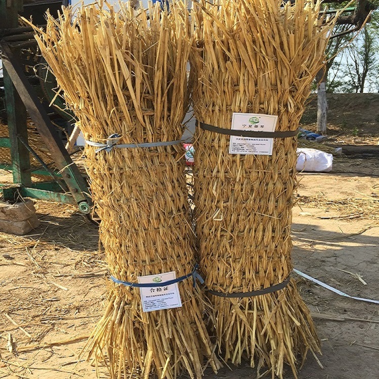 寧夏草莓视频污污下载子 寧夏草莓视频污污下载子