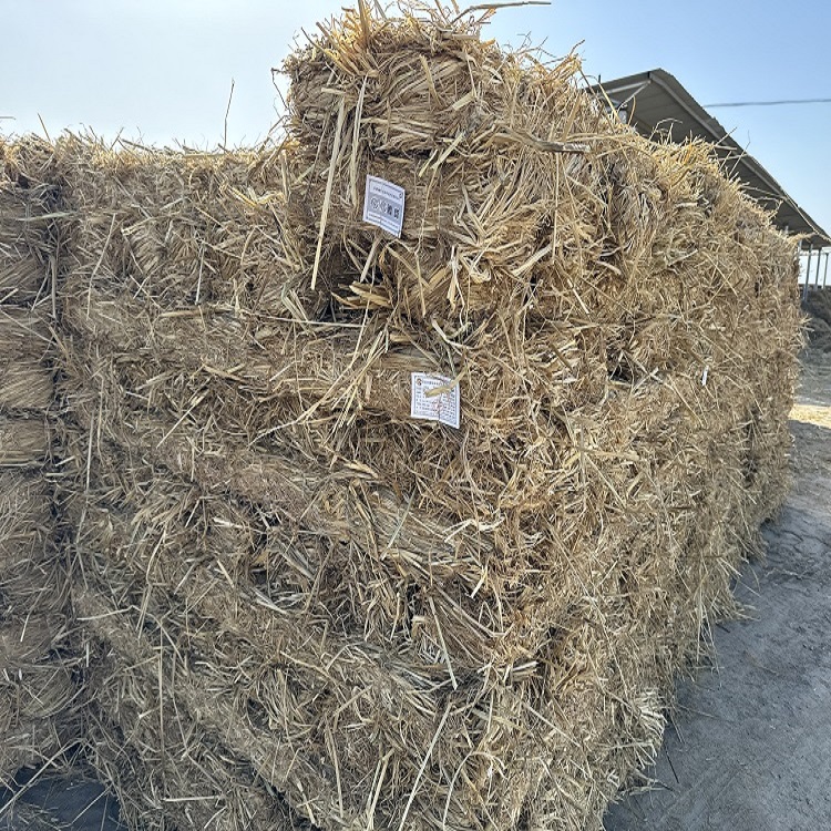 寧夏草支墊 寧夏草支墊