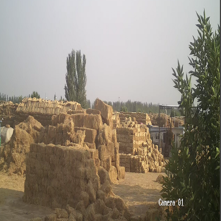 寧夏草莓视频污污下载廠家 寧夏草莓视频污污下载廠家