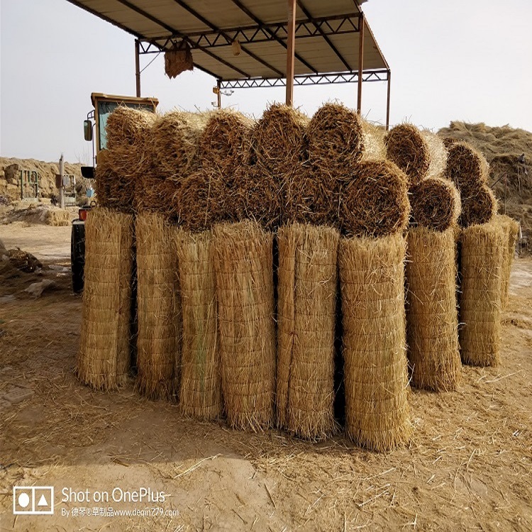 寧夏草莓视频污污下载廠家